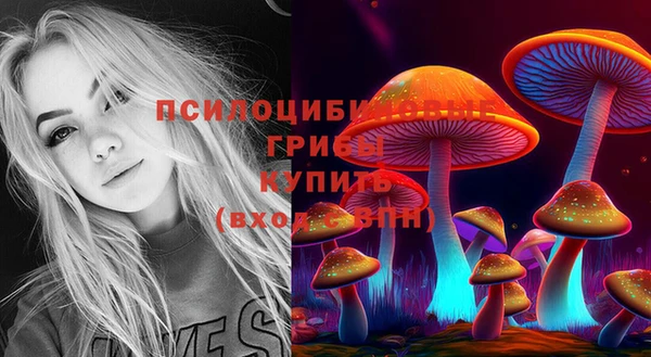 мдма Няндома